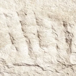 Andes White