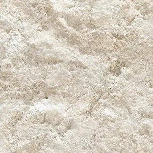 Andes White