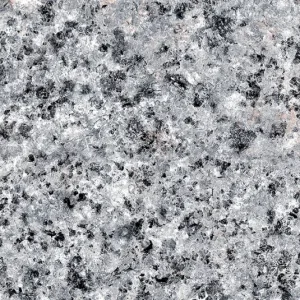 Black Sesame