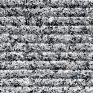 Black Sesame