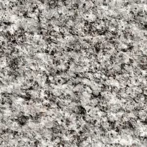Black Sesame
