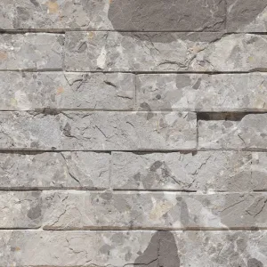 Dandy Grey