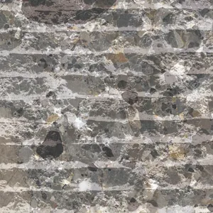 Dandy Grey