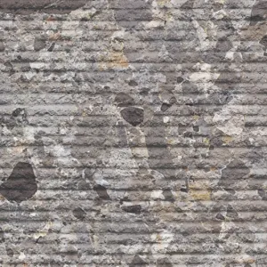 Dandy Grey