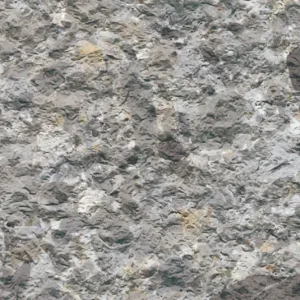 Dandy Grey