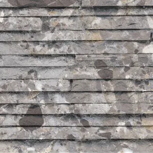Dandy Grey