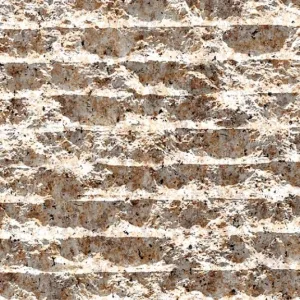 Gold Sesame