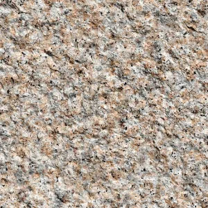 Gold Sesame