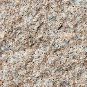 Gold Sesame