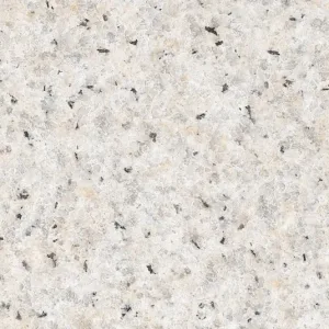 New White Sesame