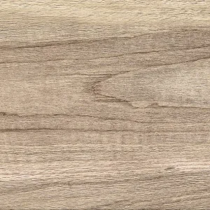 Plain Brown