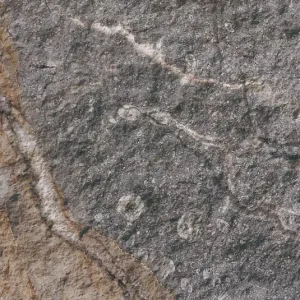 Rock Mottle Brown