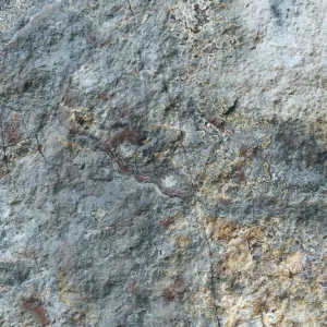 Roman Grey